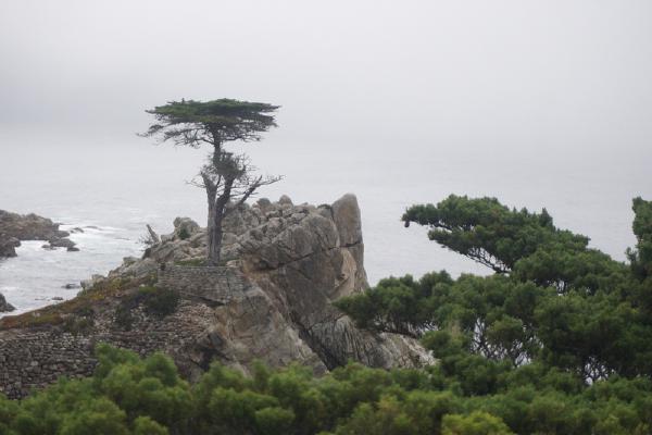 2024-06-03 10:23:19 -0700 PDT <br><br>                                 <br><br> DSC05434.JPG