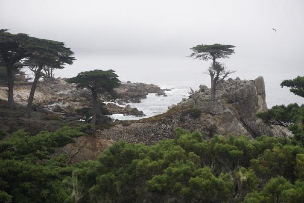 2024-06-03 10:23:32 -0700 PDT <br><br>                                 <br><br> DSC05435.JPG