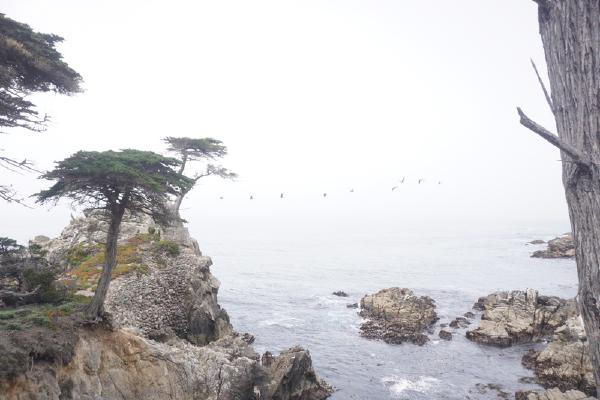 2024-06-03 10:29:22 -0700 PDT <br><br>                                 <br><br> DSC05439.JPG