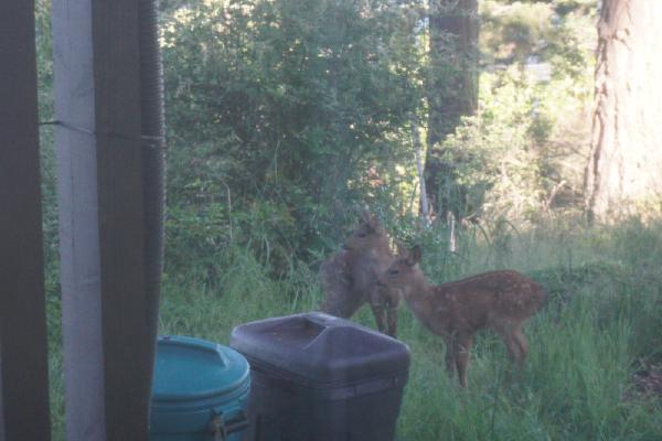 2024-06-07 07:27:45 -0700 PDT <br><br>                                 <br><br> DSC05471.JPG