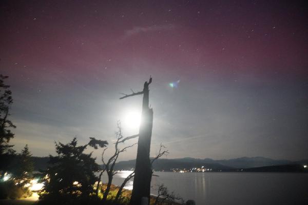 2024-10-10 19:45:24 -0700 PDT <br><br>                                 <br><br> DSC05519.JPG