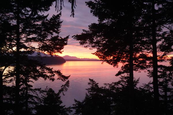 2024-10-11 18:11:08 -0700 PDT <br><br>                                 <br><br> DSC05521.JPG