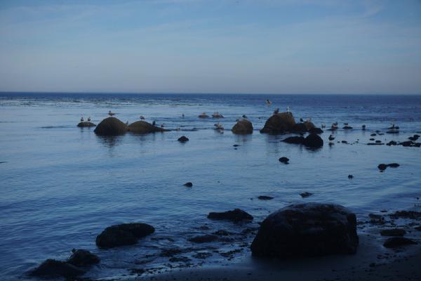 2024-10-13 10:13:42 -0700 PDT <br><br>                                 <br><br> DSC05538.JPG