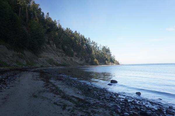 2024-10-13 10:23:12 -0700 PDT <br><br>                                 <br><br> DSC05544.JPG