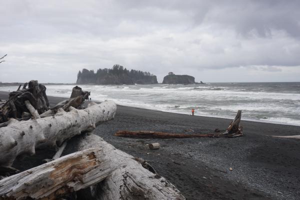 2024-05-25 09:15:02 -0700 PDT <br><br>  Little James Island, Rialto beach Olympic Coast WA <br><br> DSC05326.JPG