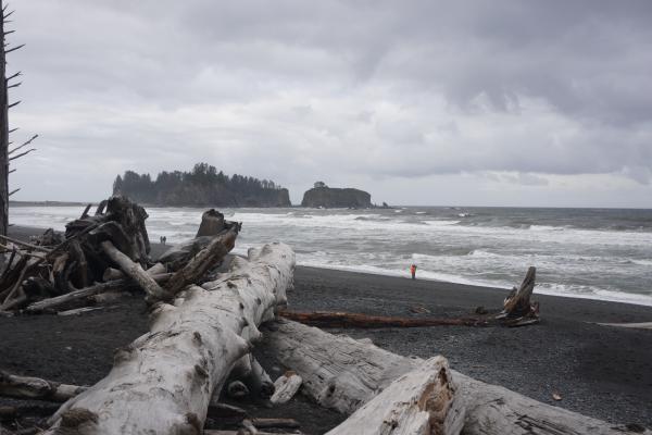 2024-05-25 09:15:13 -0700 PDT <br><br> Little James Island, Olympic Coast WA <br><br> DSC05327.JPG