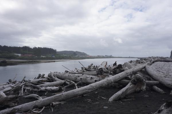 2024-05-25 09:36:53 -0700 PDT <br><br> La Push from Rialto Beach <br><br> DSC05329.JPG