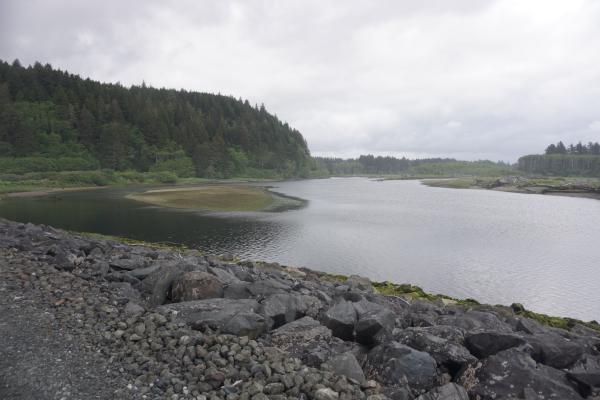 2024-05-25 09:38:17 -0700 PDT <br><br> Quillaute River - Rialto Beach  <br><br> DSC05330.JPG