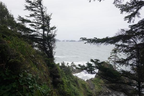2024-05-25 14:52:52 -0700 PDT <br><br>                                Trail to Shi Shi beach <br><br> DSC05333.JPG