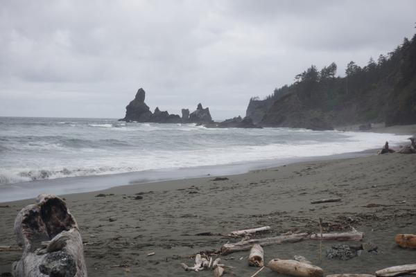 2024-05-25 15:10:07 -0700 PDT <br><br>                                 <br><br> DSC05334.JPG