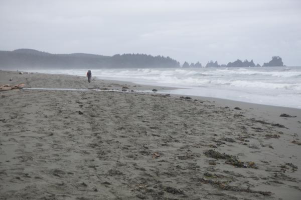 2024-05-25 15:15:17 -0700 PDT <br><br>                                 <br><br> DSC05335.JPG