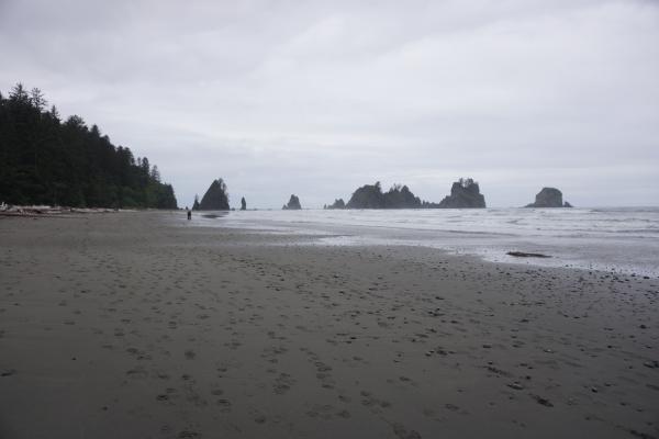2024-05-25 16:10:46 -0700 PDT <br><br>                                 <br><br> DSC05337.JPG