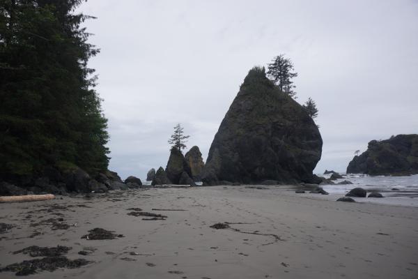 2024-05-25 16:18:33 -0700 PDT <br><br>                                 <br><br> DSC05338.JPG