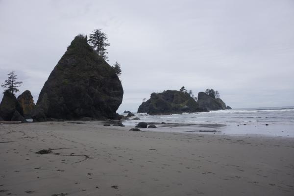 2024-05-25 16:18:38 -0700 PDT <br><br>                                 <br><br> DSC05339.JPG