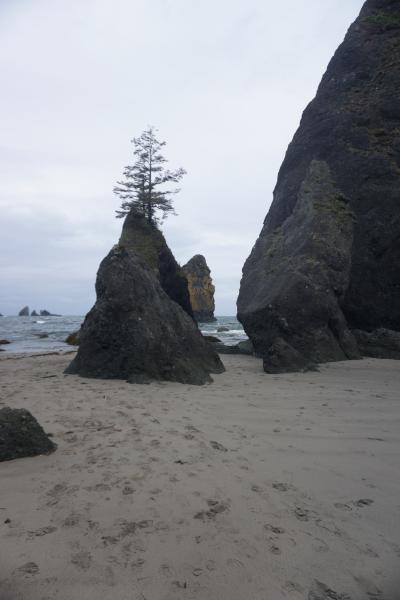2024-05-25 16:19:59 -0700 PDT <br><br>                                 <br><br> DSC05340.JPG