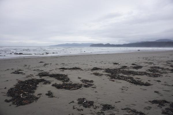 2024-05-25 16:24:26 -0700 PDT <br><br>                                 <br><br> DSC05342.JPG