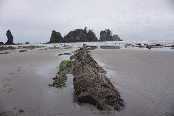 2024-05-25 17:24:22 -0700 PDT <br><br>                                 <br><br> DSC05343.JPG