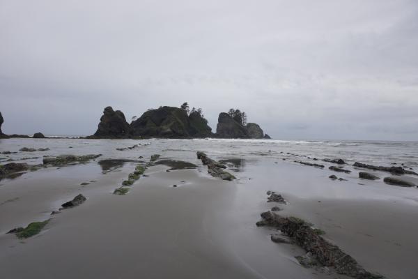 2024-05-25 17:24:49 -0700 PDT <br><br>                                 <br><br> DSC05344.JPG