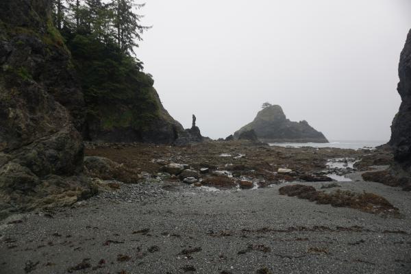 2024-05-26 05:43:11 -0700 PDT <br><br>                                 <br><br> DSC05352.JPG