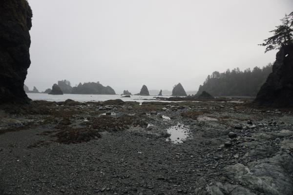2024-05-26 05:43:35 -0700 PDT <br><br>                                 <br><br> DSC05353.JPG