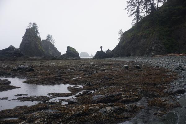 2024-05-26 05:57:39 -0700 PDT <br><br>                                 <br><br> DSC05354.JPG