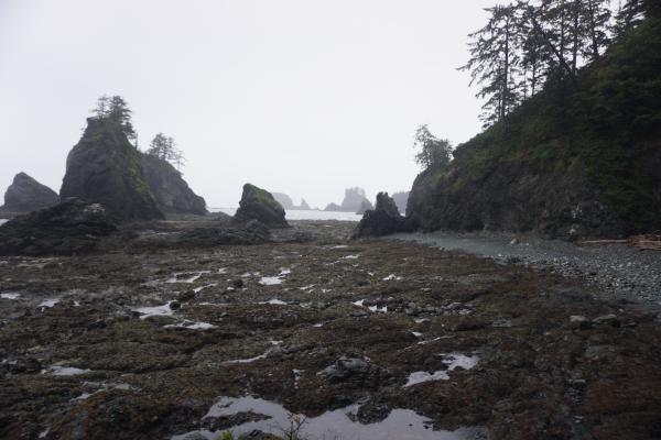 2024-05-26 06:01:47 -0700 PDT <br><br>                                 <br><br> DSC05355.JPG