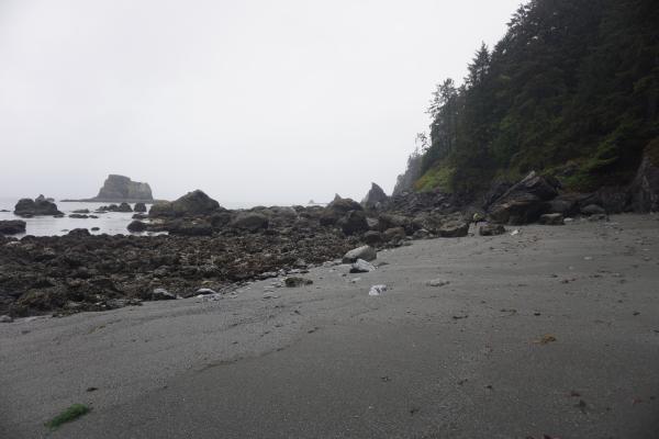 2024-05-26 07:57:42 -0700 PDT <br><br>                                 <br><br> DSC05358.JPG