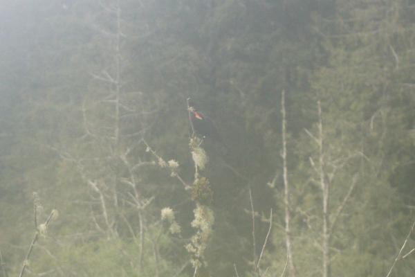2024-05-27 10:52:50 -0700 PDT <br><br>                                 <br><br> DSC05360.JPG