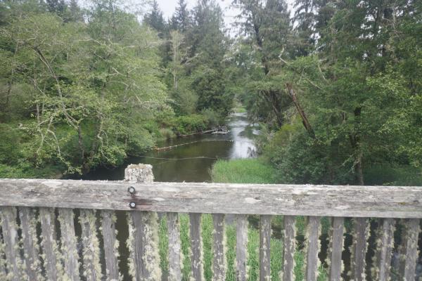 2024-05-27 11:01:56 -0700 PDT <br><br>                                 <br><br> DSC05365.JPG